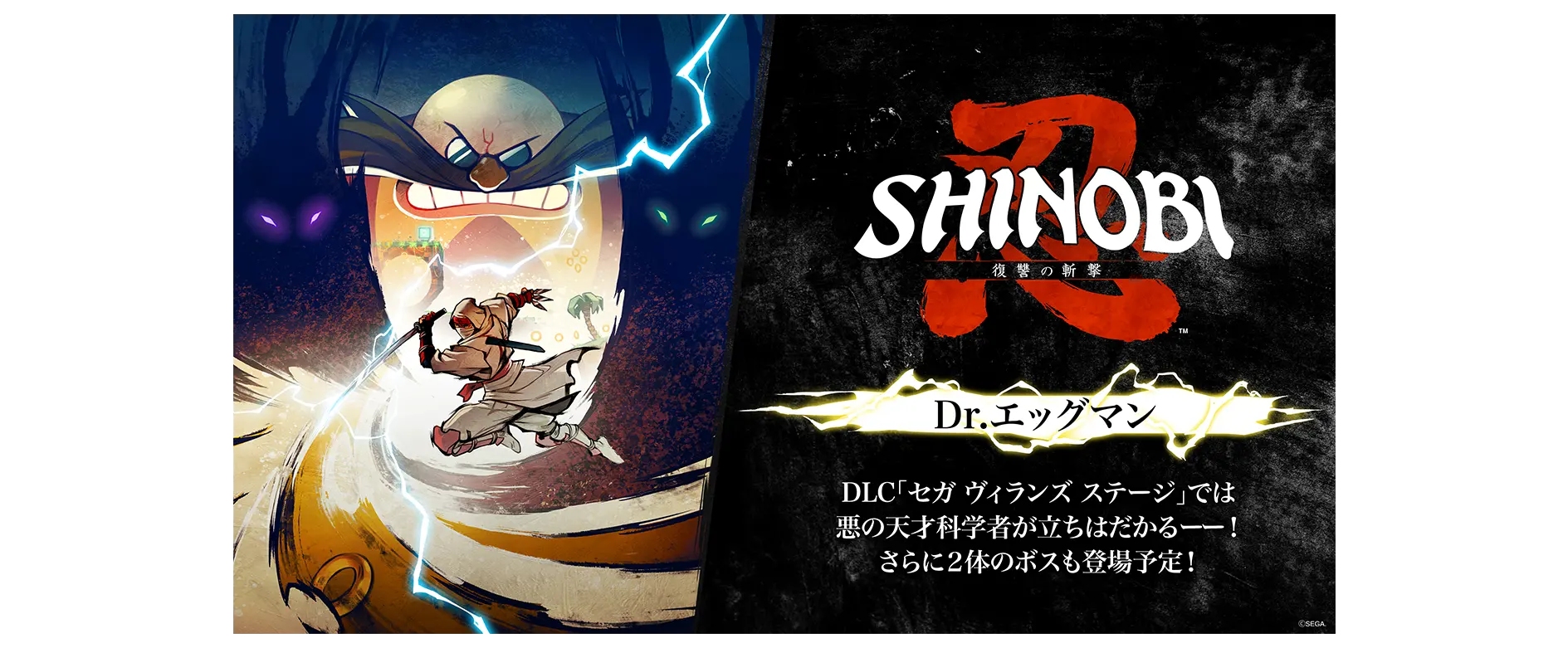 DLC「セガ ヴィランズ ステージ」では​悪の天才科学者が立ちはだかるーー！​さらに２体のボスも登場予定！
