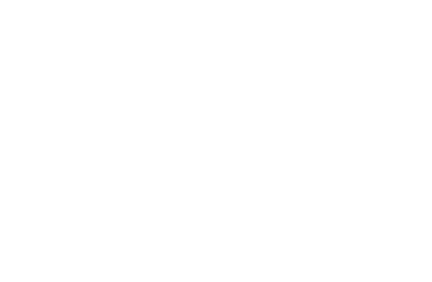 SHINOBI 復讐の斬撃